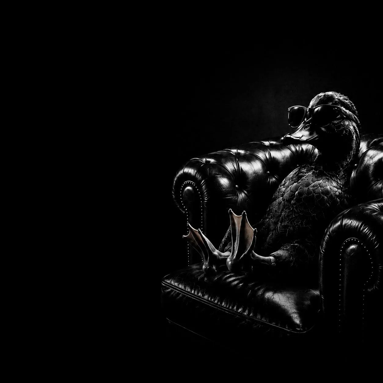 Papera con occhiali da sole su poltrona Chesterfield in pelle nera